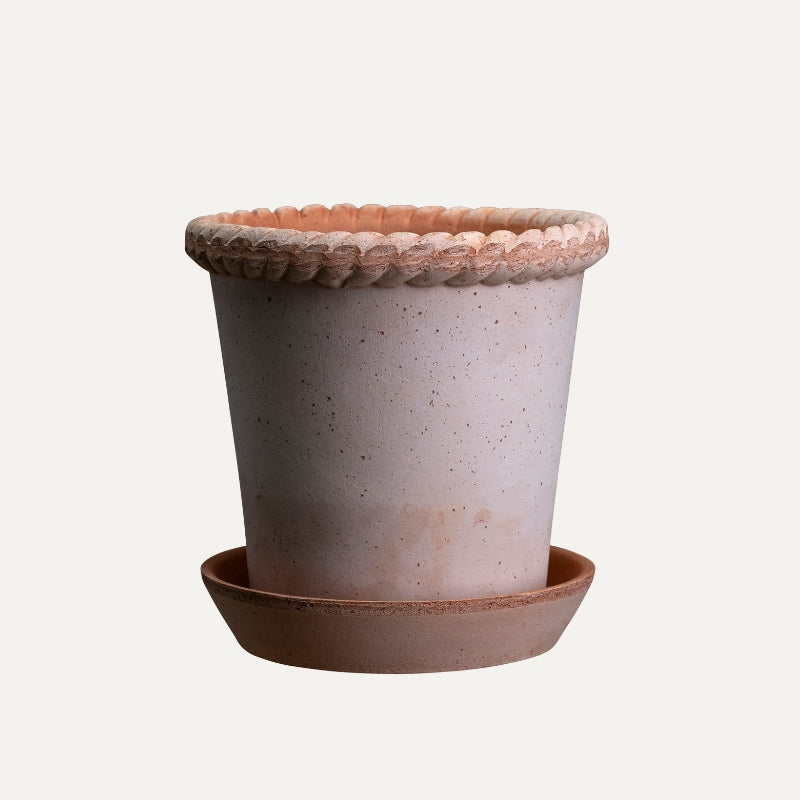 Emilia terracotta pot