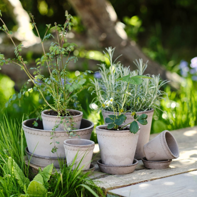 Helena terracotta pot