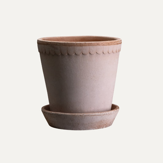 Helena terracotta pot