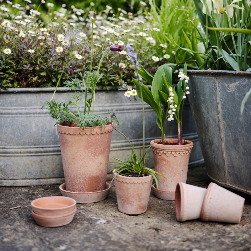 Helena terracotta tall pot