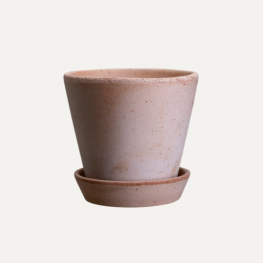 Julie terracotta pot