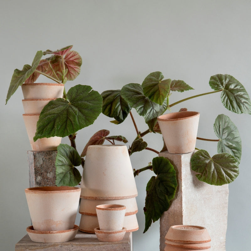 Julie terracotta pot