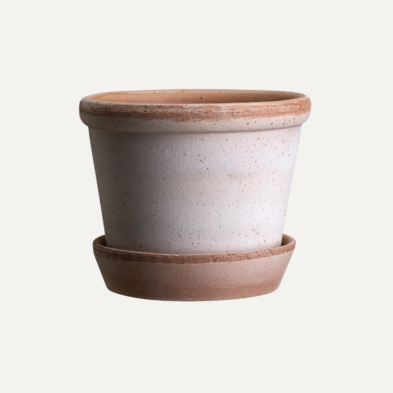 Parade terracotta pot