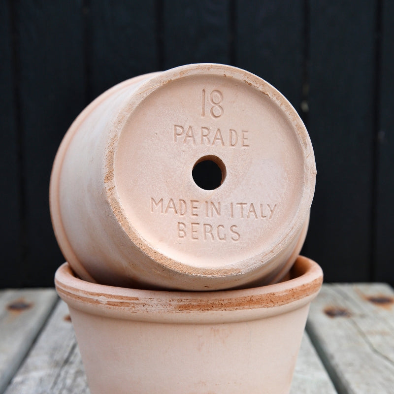 Parade terracotta pot