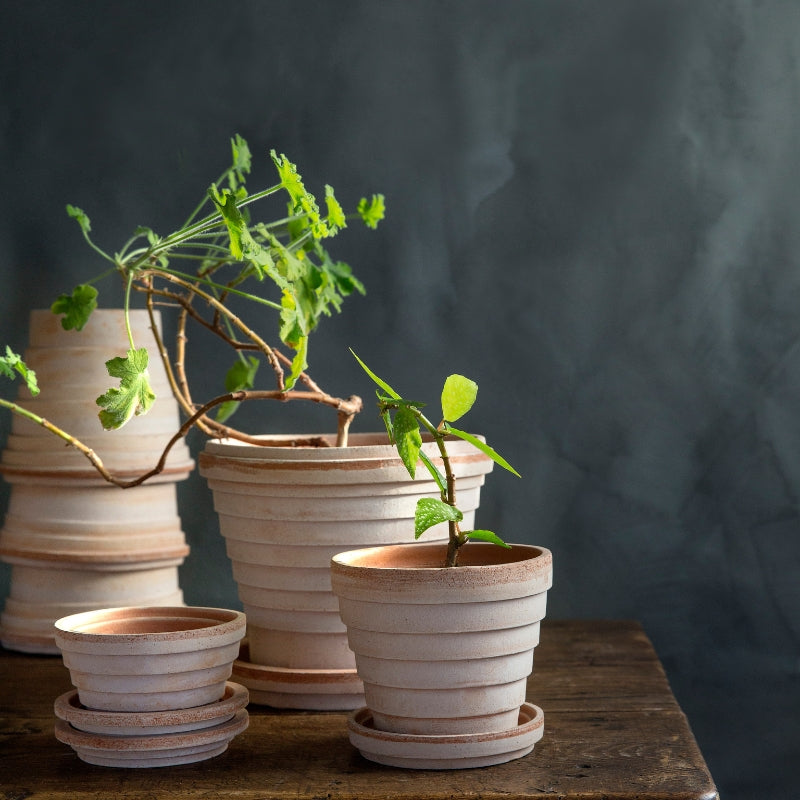 Planets terracotta pot