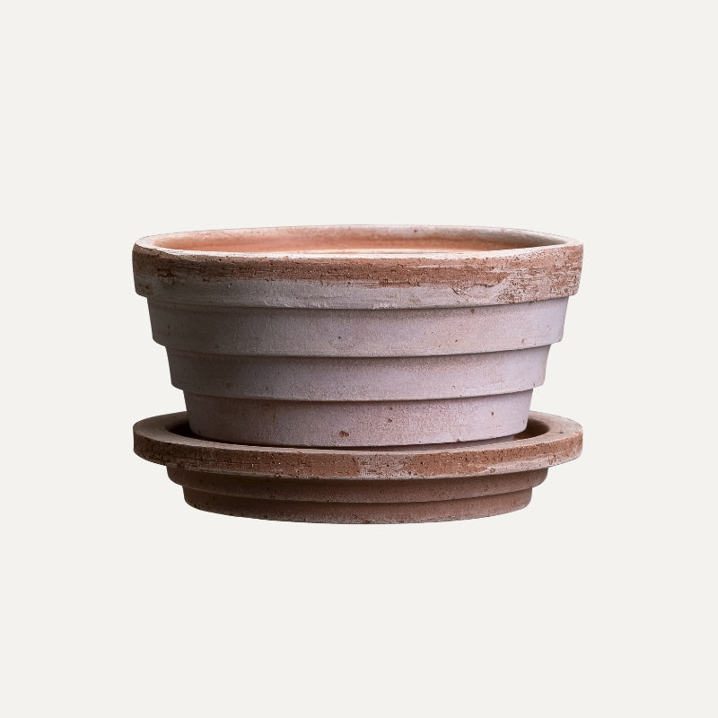 Planets terracotta pot