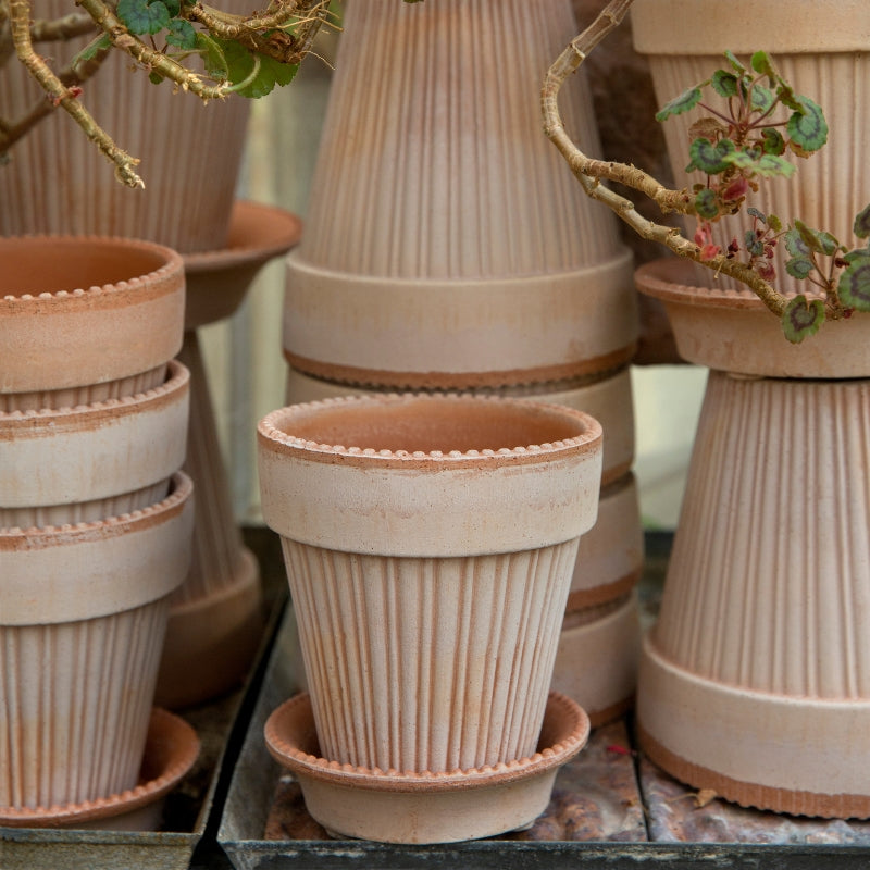 Simona terracotta pot