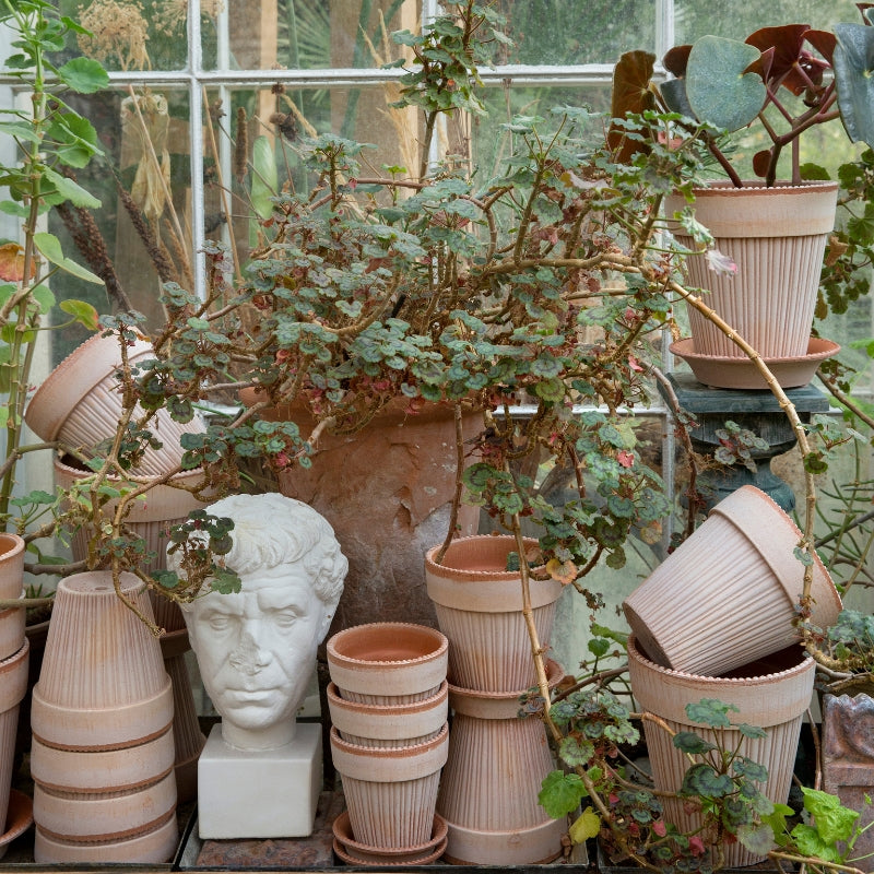 Simona terracotta pot