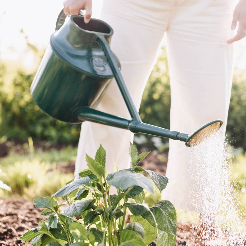 Haws Cradley Cascader plastic watering can 6.8L