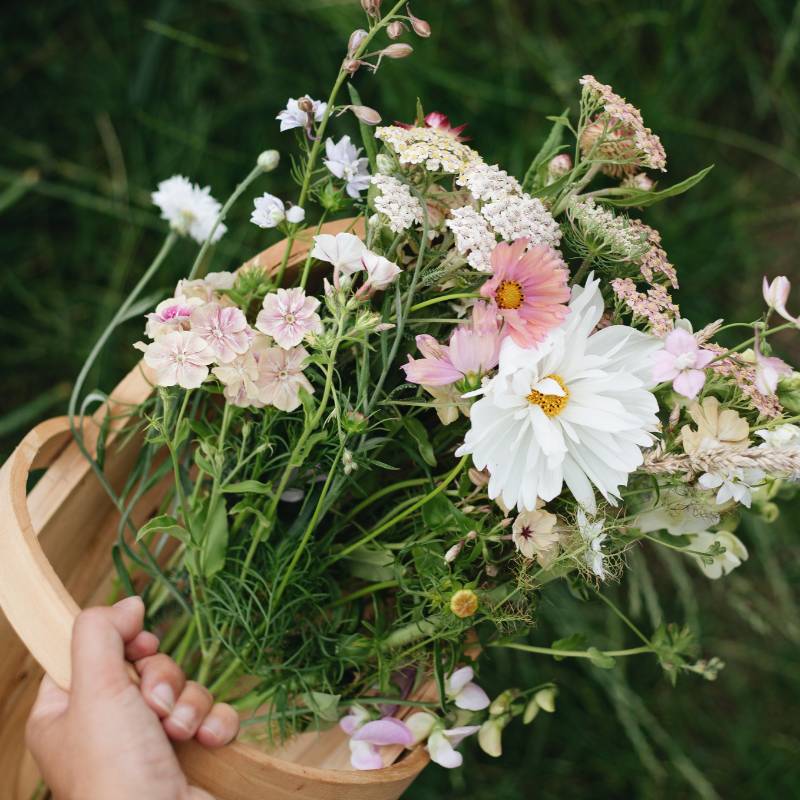 Wooden harvest basket (English 'trug')