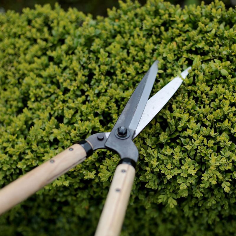 Niwaki hedge trimmer