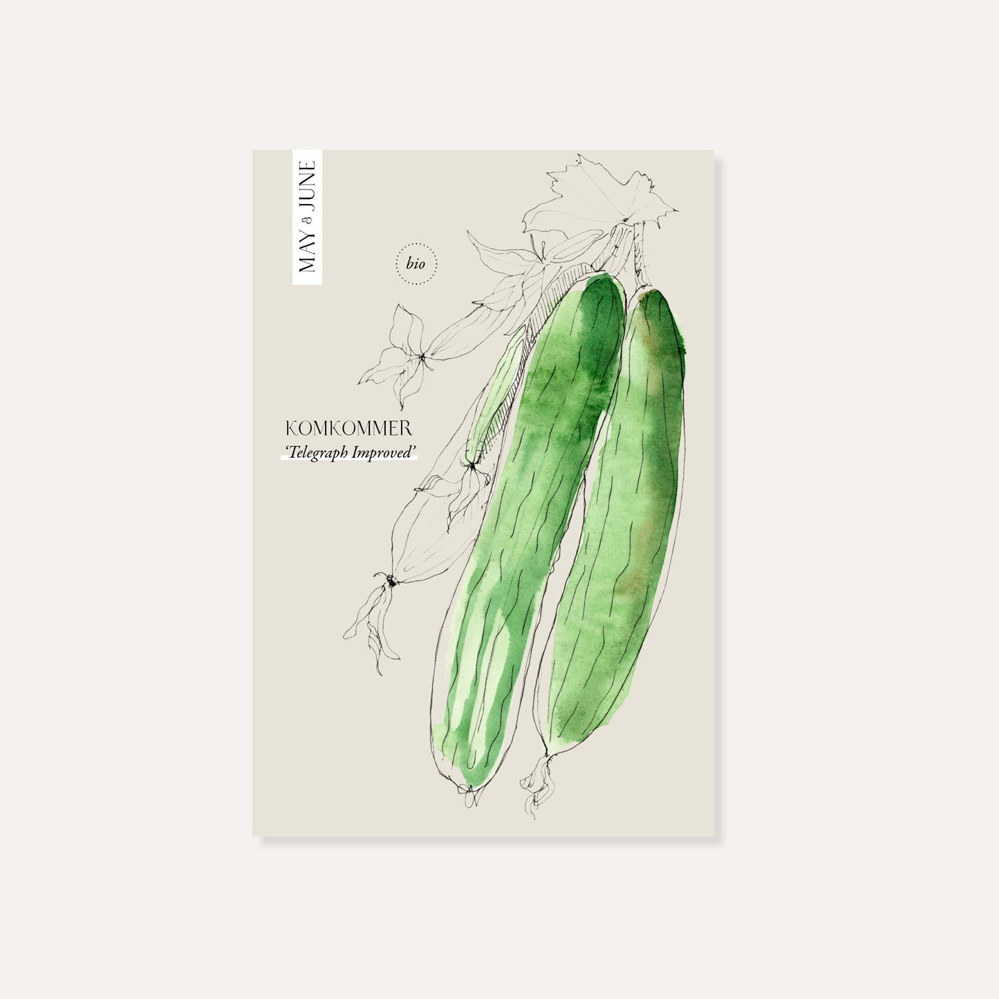 Cucumber 'Telegraph Improved' BIO