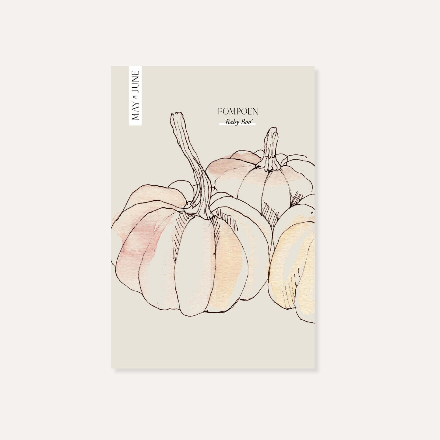 Pumpkin 'Baby Boo'