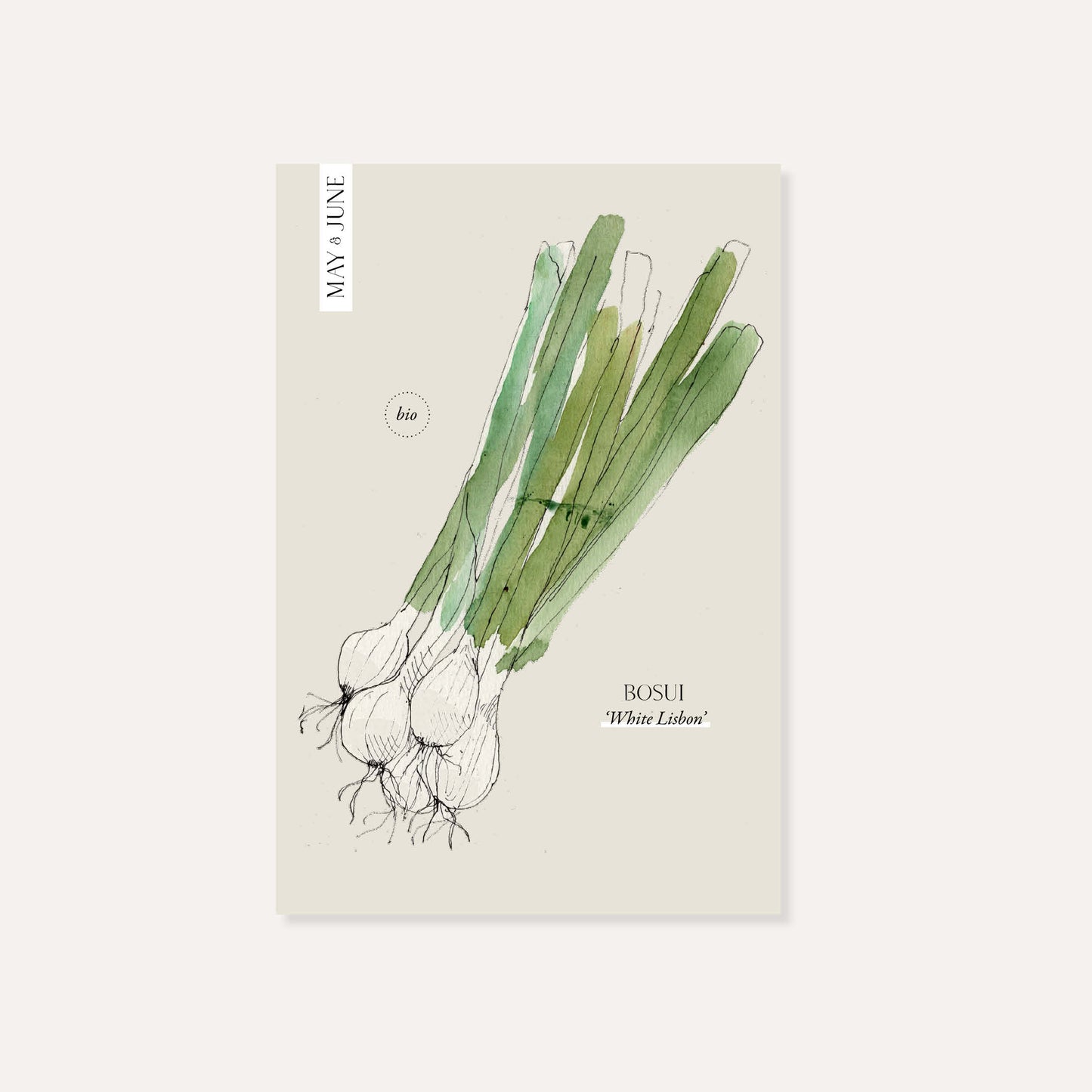 Spring onion 'White Lisbon' BIO