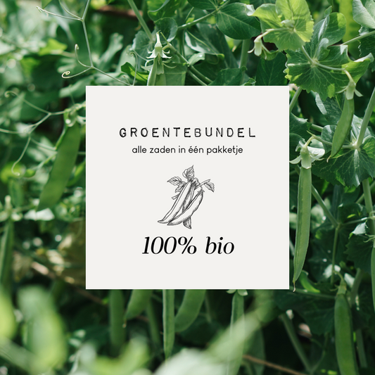 Vegetable bundle '100% BIO'