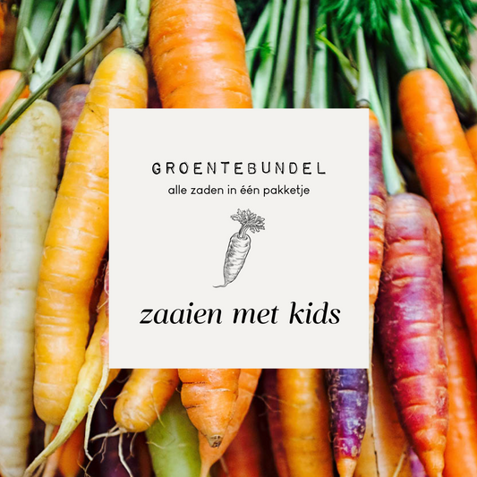 Vegetable bundle 'Sowing with kids'