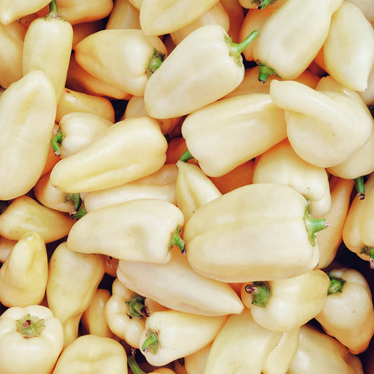 Sweet bell pepper 'White Bell'