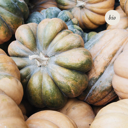 Pumpkin 'Musquee de Provence' BIO