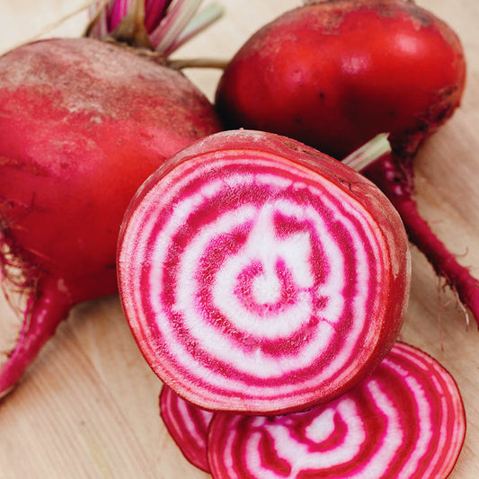 Beet 'Chioggia'