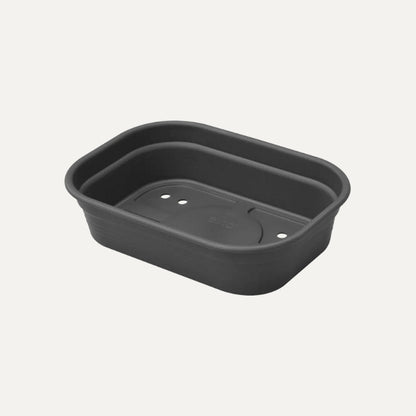 Seed tray small