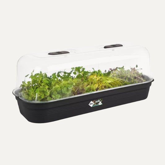 Seed tray long