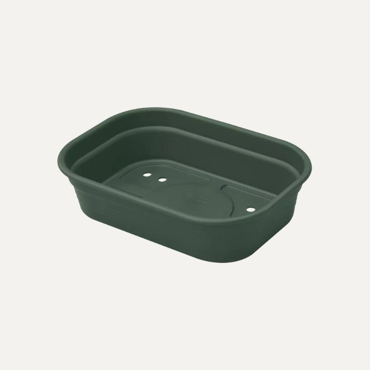 Seed tray small